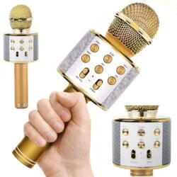[ "USB bluetooth karaoke wireless microphone with speaker and FM radio" ]