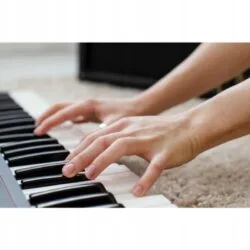Elektroničke klavijature s mikrofonom, 61 tipka