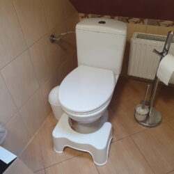 2v1 PVC otroška opora za noge in stolček pručka za wc bela