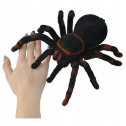 a hand holding a black and orange spider toy