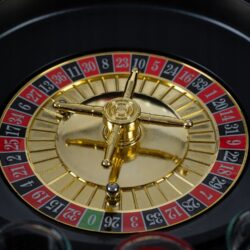 Družabna pivska ruleta 29cm + kozarci 26 a roulette wheel with a ball in the center