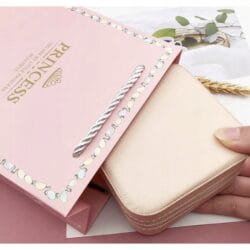 a hand holding a small pink case