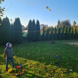 a child standing in a yard with a kite in the air