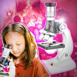 LED educational microscope 1200x for mobile phone + accessories 25 LED educational microscope 1200x for mobile phone + accessories